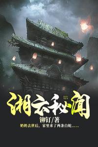 湘云秘闻全集小说推荐