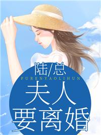 陆总，夫人要离婚高质量小说