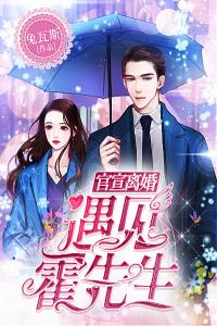 官宣离婚：遇见，霍先生完整版