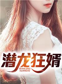 潜龙狂婿畅销巨著