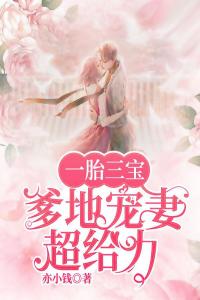 一胎三宝，爹地宠妻超给力精选小说推荐