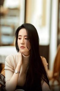 《四合院：傻柱的逆袭人生》全本阅读